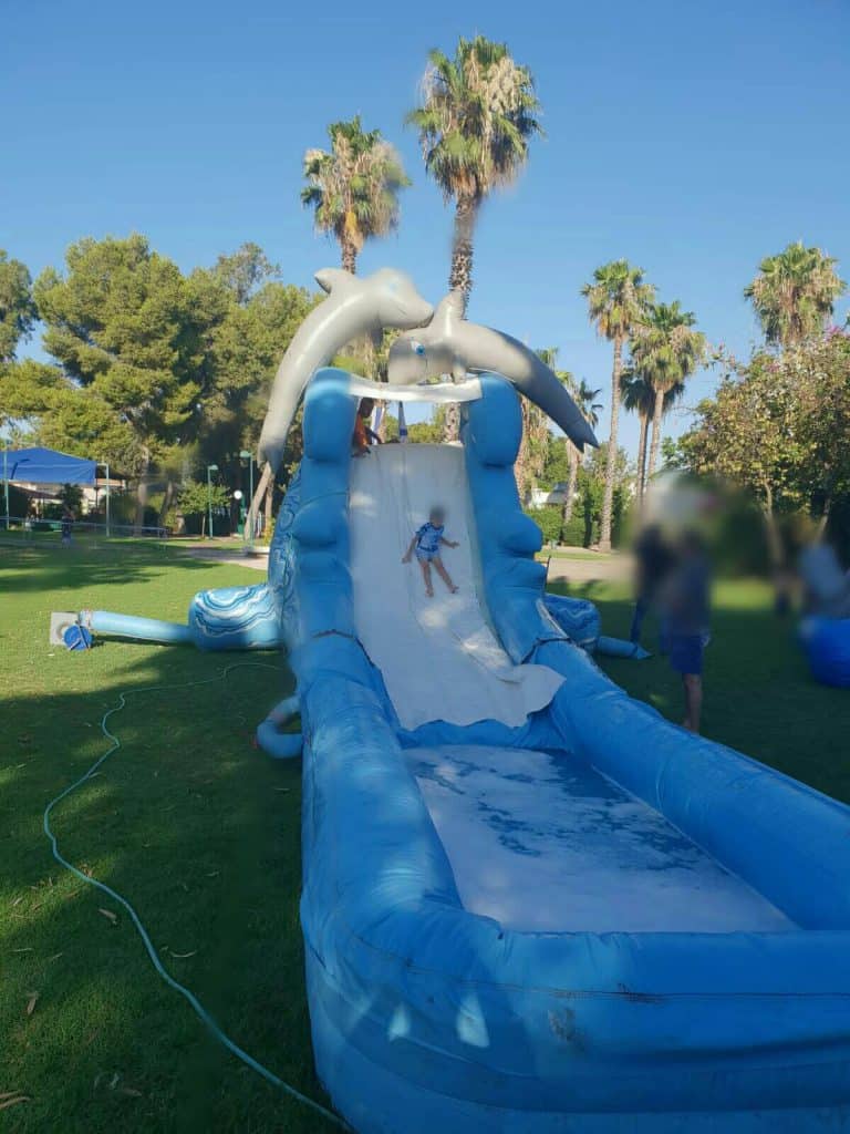 מגלשת דולפינים